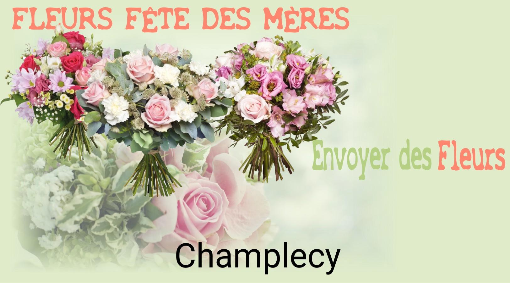 Bouquet de Fête des Mères livré à Champlecy